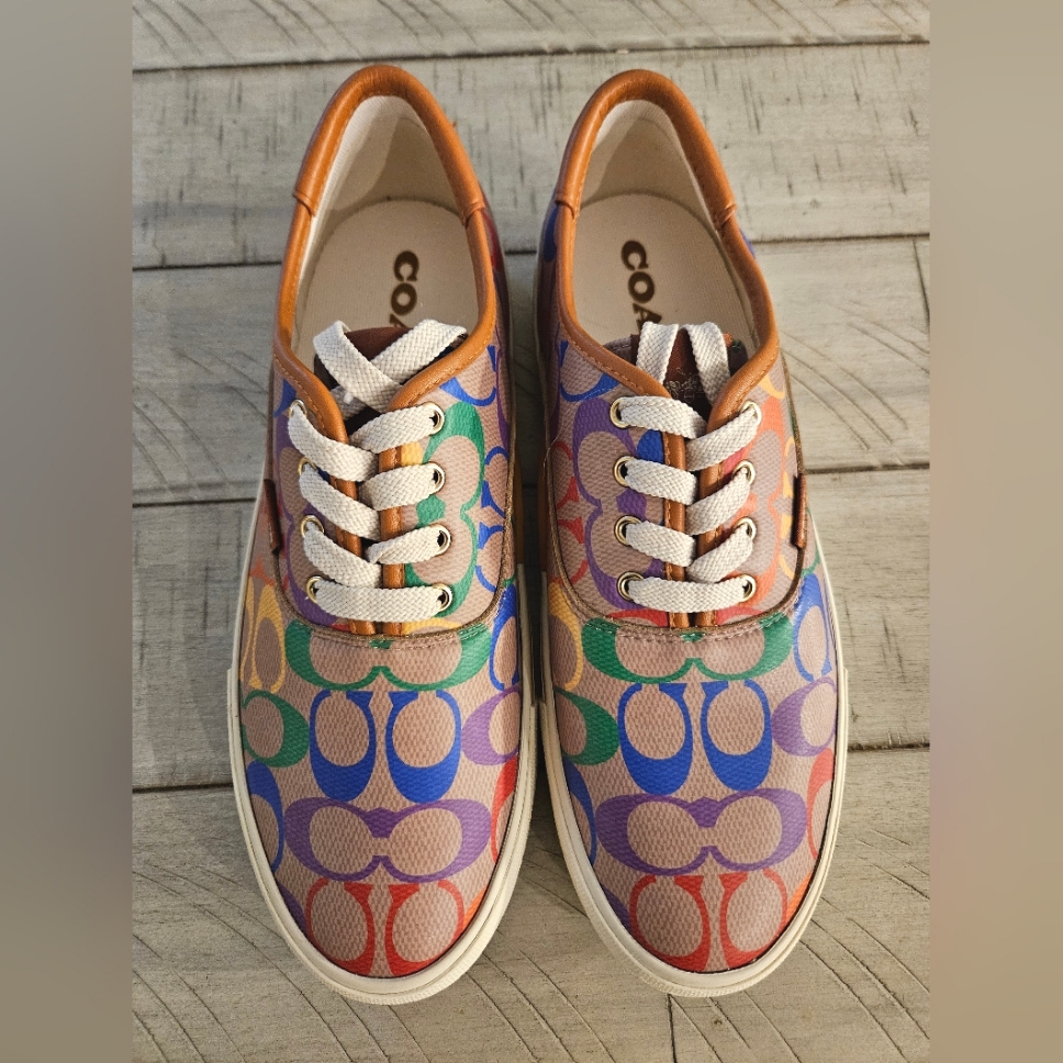 Citysole Skate Sneaker In Rainbow Signature Canvas.